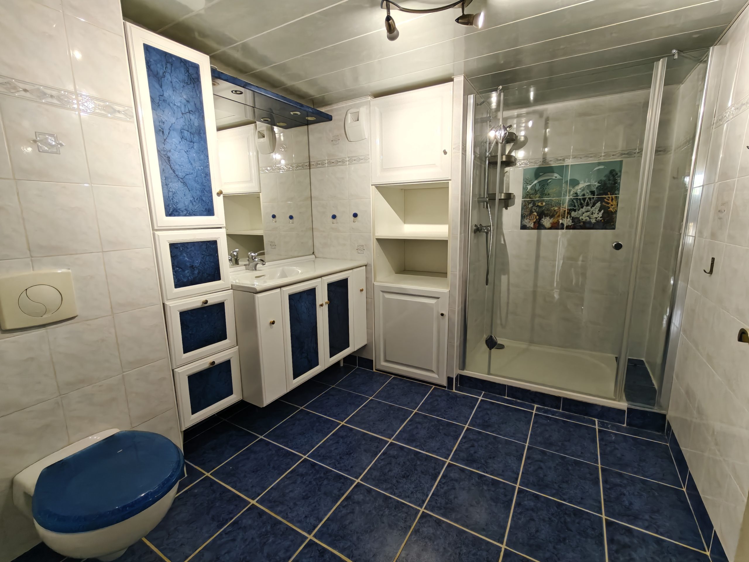 Salle de bain rez-de-chaussée
